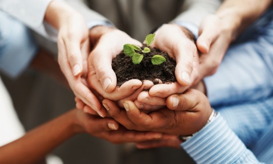 photodune-202925-business-development-hands-holding-seedling-in-a-group-s-550x330